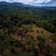 Image for article titled Nickel Mining Is Killing The Rainforest In The Philippines